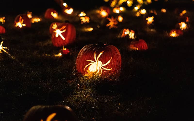 کدوهای هالووین با طرح عنکبوت در شب
