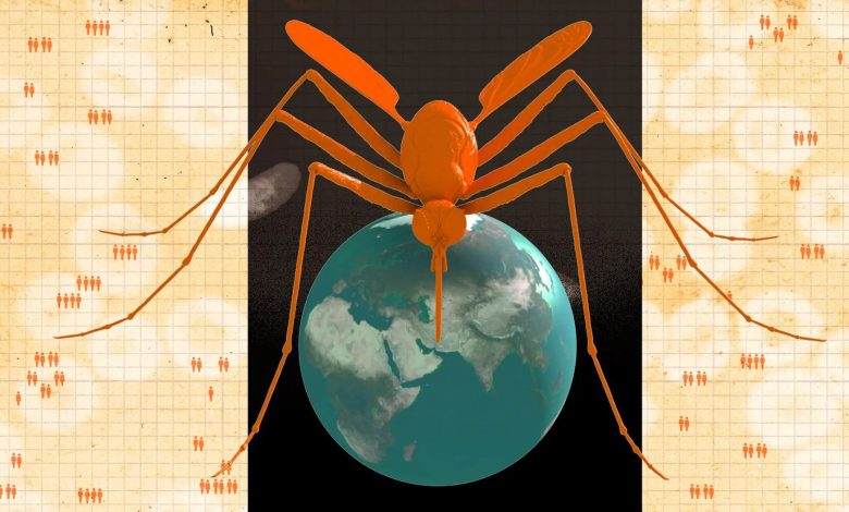آیا برای پیشگیری از گسترش مالاریا باید همه پشه‌های جهان را بکشیم؟