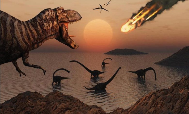 چرا هرگز نمیتوانیم به برخی پرسشها درباره دایناسورها پاسخ دهیم؟