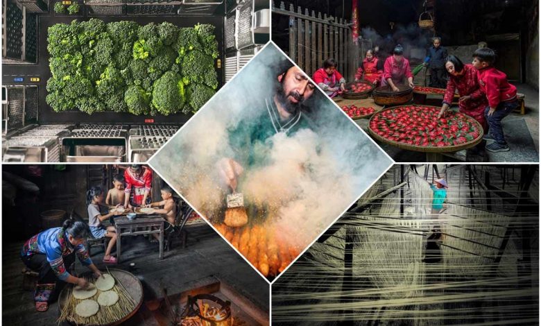 برندگان مسابقه «عکاس غذای سال ۲۰۲۲»