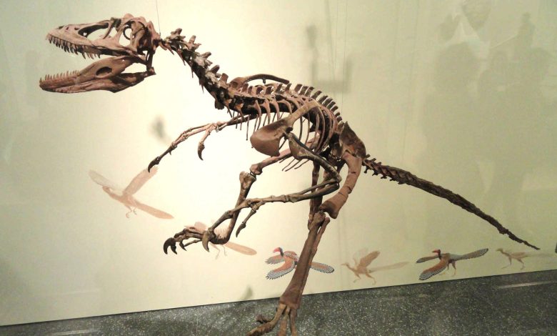 حراج اسکلت دایناسور معروف الهام‌بخش پارک ژوراسیک، صدای دیرینه‌شناسان را درآورد