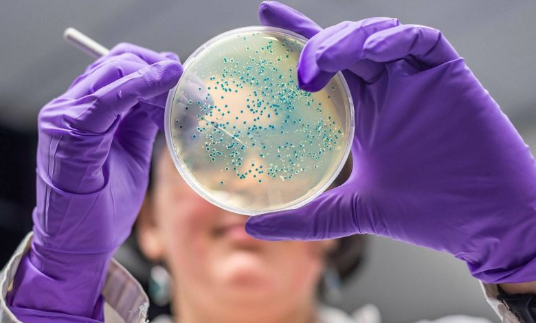 موفقیت ویروس‌های باکتری‌خوار در درمان عفونت‌های مقاوم به آنتی‌بیوتیک