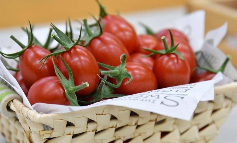 گوجه فرنگی تغییر ژنتیکی‌شده می‌تواند منبع جدیدی از ویتامین D باشد