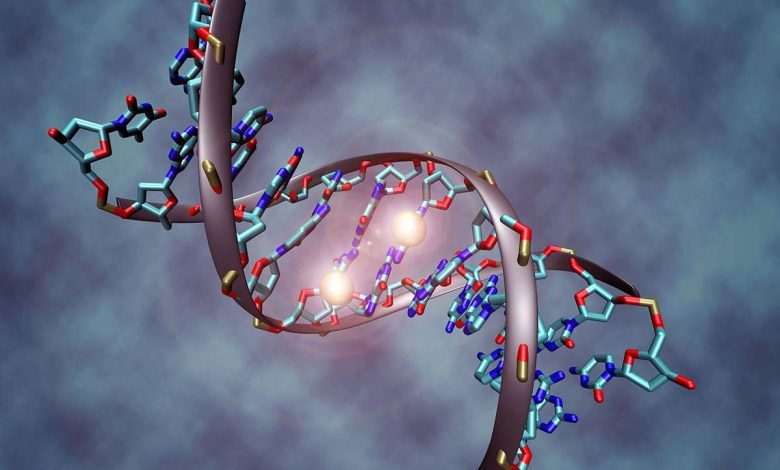 نوع جدیدی از ویرایش ژنوم برای اصلاح دقیق DNA ارائه شده است