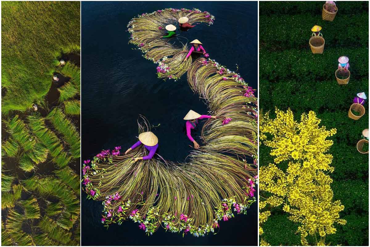 عکس‌های هوایی خیره‌کننده از مناظر سرسبز ویتنام