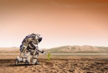 هر نشانه‌ای از حیات در مریخ در عمق حداقل ۲ متری این سیاره مدفون است