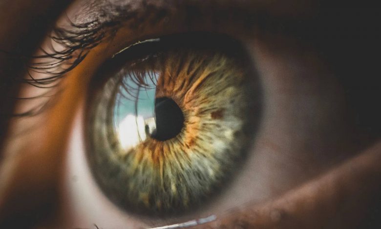 پروتئین‌های باستانی در چشمان ما می‌توانند به یافتن حیات فرازمینی کمک کنند