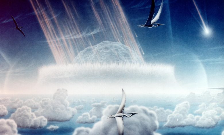 اجداد ما چگونه از آخرالزمان سیارکی جان سالم به‌ در بردند؟