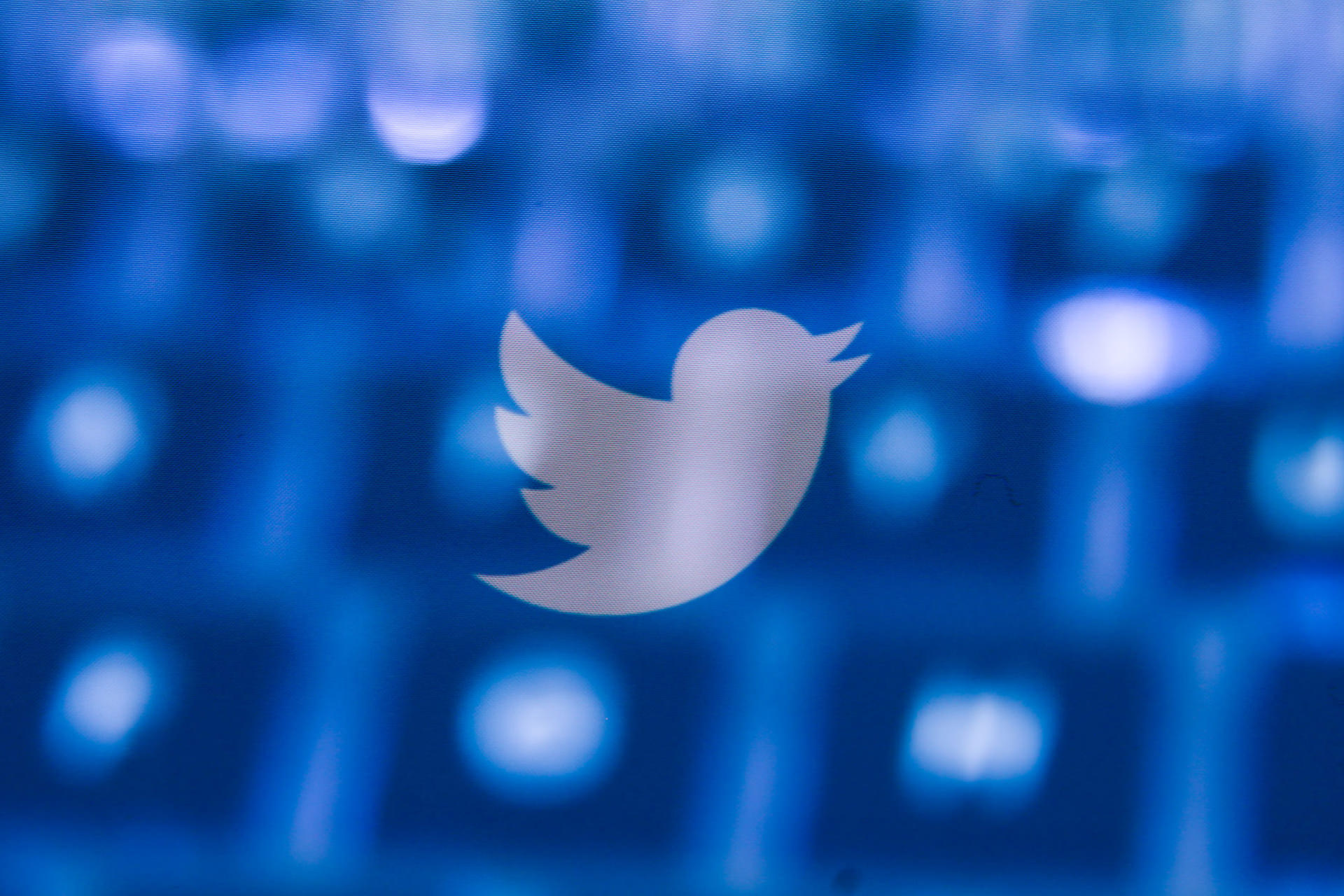 پس‌لرزه افشاگری‌ پیتر زاتکو: کنگره آمریکا تحقیق روی توییتر را آغاز کرد
