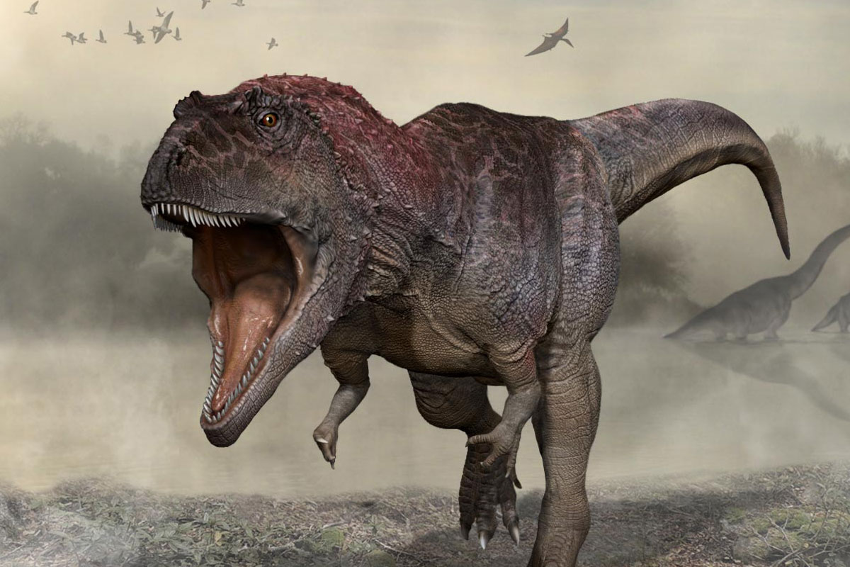 چرا اغلب دایناسورهای گوشتخوار ماقبل‌تاریخ، دست‌های کوچکی داشتند؟