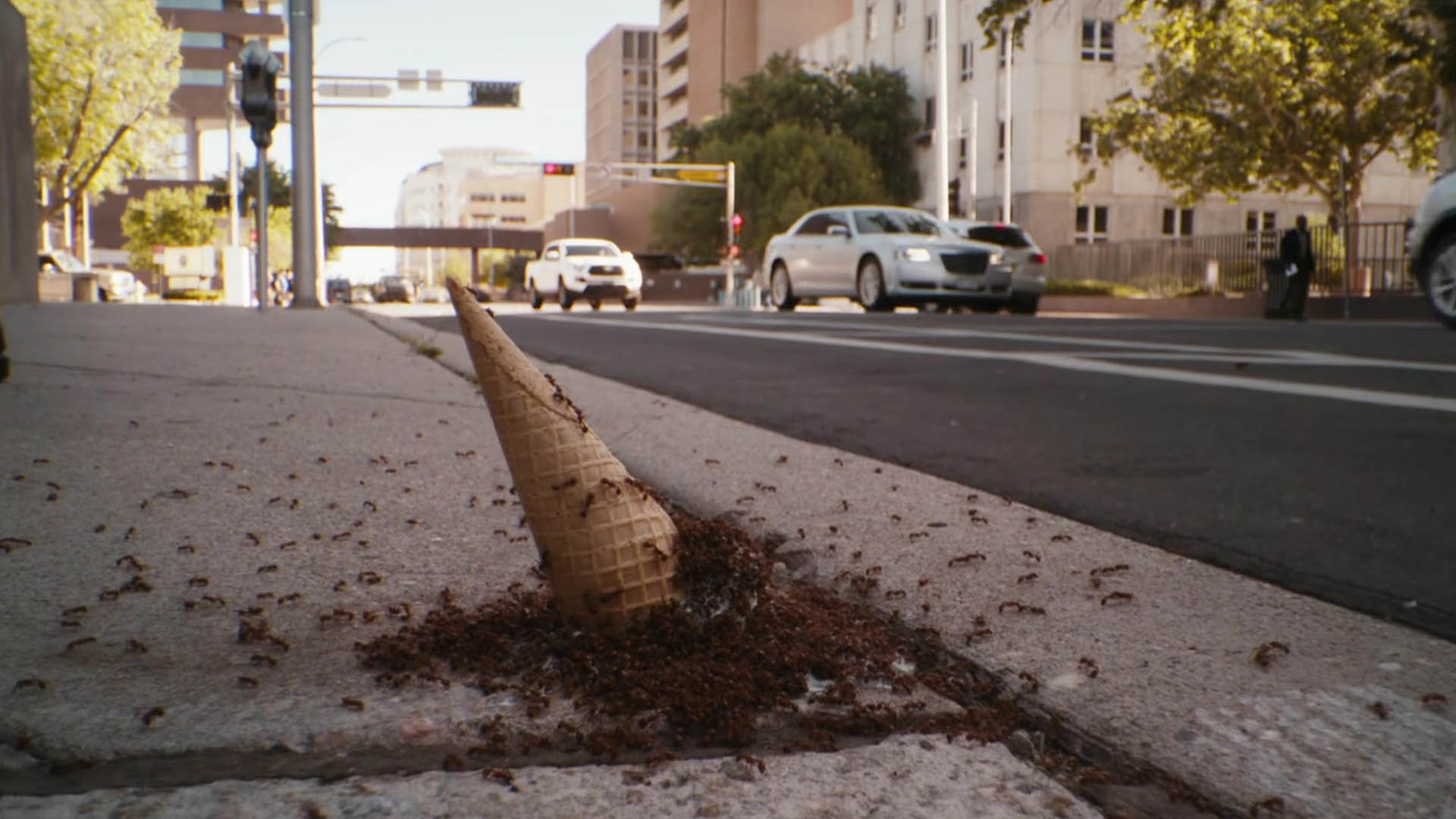 هجوم مورچه‌ها به یک بستنی قیفی روی زمین در سریال better call saul