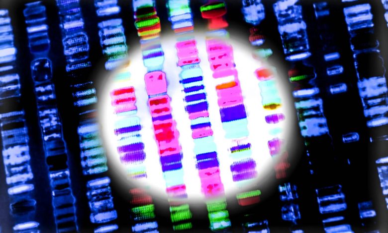  دانشمندان ثابت کردند کریسپر می‌تواند ژن‌ها را درون بدن انسان ویرایش کند