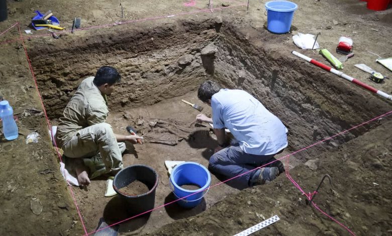 کشف قدیمی‌ترین شواهد از جراحی قطع عضو با ۳۱ هزار سال قدمت