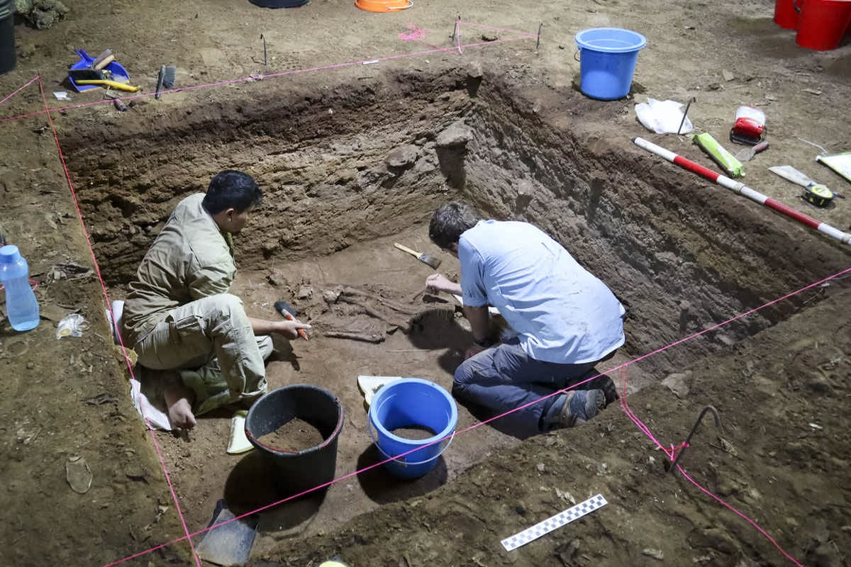 کشف قدیمی‌ترین شواهد از جراحی قطع عضو با ۳۱ هزار سال قدمت