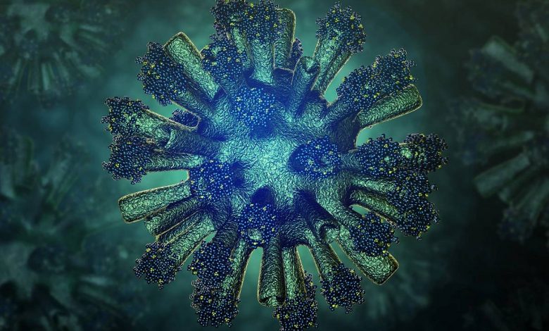 انسان‌ها ۸ درصد ویروس هستند؛ نقش DNA ویروسی ژنوم در بیماری و رشد ما چیست؟