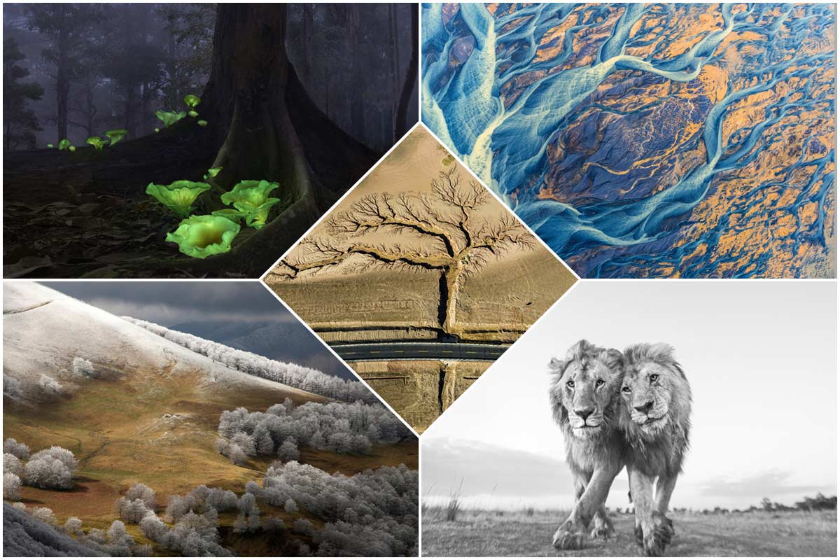 برندگان مسابقه عکاسی حفاظت از طبیعت ۲۰۲۲