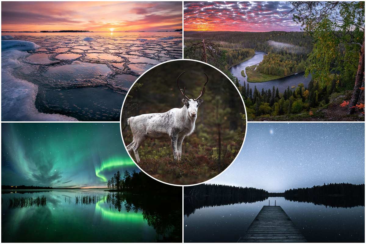 تصاویر جذاب از طبیعت وحشی و رام‌نشده فنلاند