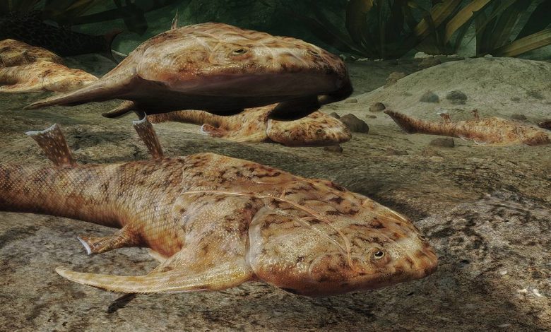 فسیل‌های ماهی باستانی عجیب‌بودن اجداد مهره‌دار ما را آشکار می‌کنند