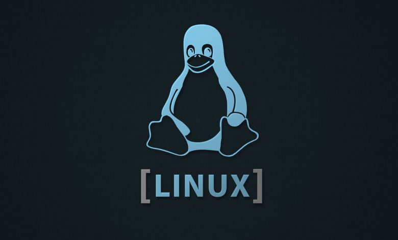 لینوکس کرنل ۶ با پشتیبانی از پردازنده‌های رپتور لیک و معماری چینی LoongArch معرفی شد