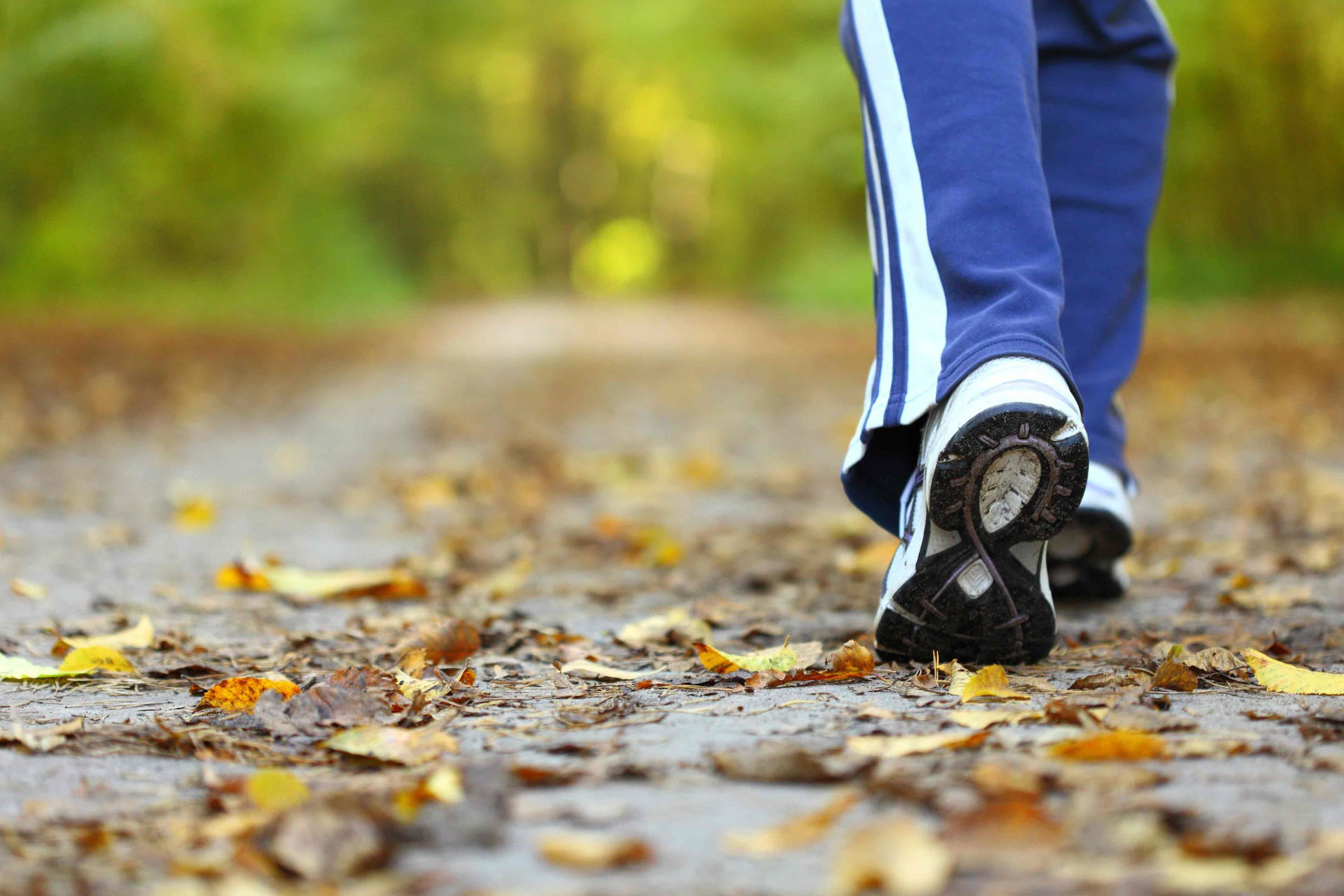 پیاده‌ روی روزانه خطر بیماری قلبی را کاهش می‌دهد