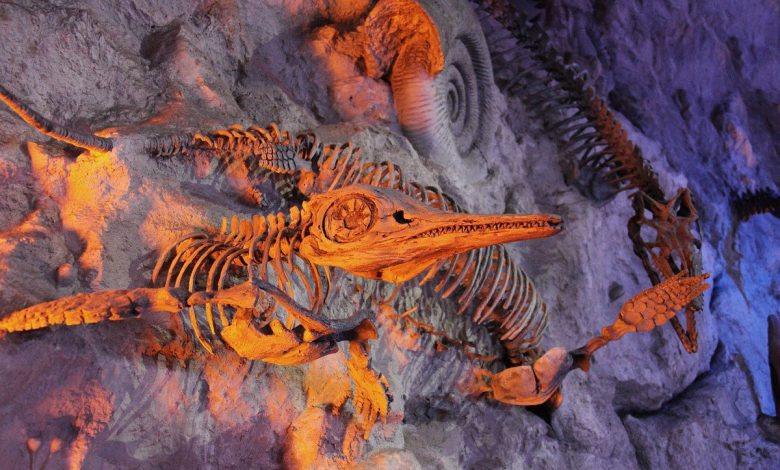 چرا پس از رویداد مرگ بزرگ، میلیون‌ها سال طول کشید تا حیات روی زمین احیا شود؟