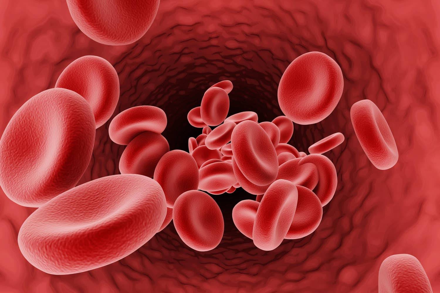 برای اولین‌بار در جهان، انسان‌ها خون تولیدشده در آزمایشگاه را دریافت کردند