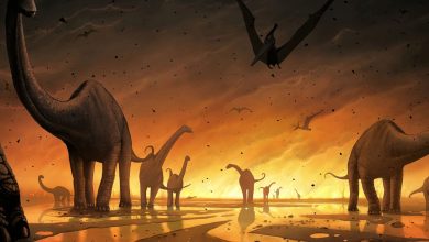 اگر دایناسورها منقرض نمی‌شدند دنیای امروز ما چگونه بود؟