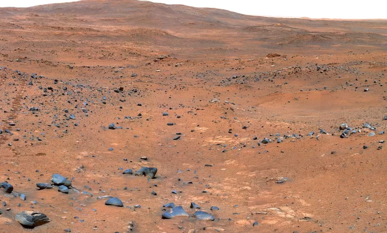 ادعای بحث‌برانگیز: ناسا نیم‌قرن پیش بدون آنکه بداند، حیات بیگانه را در مریخ نابود کرد