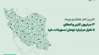 آخرین آمار عملکردی ویپاد: سه میلیون کاربر و اعطای پنج هزار میلیارد تومان تسهیلات خرد