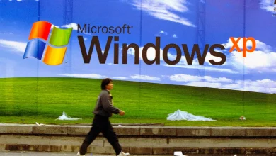 متصل‌کردن ویندوز XP به اینترنت مثل «ایستادن در بین گله‌ای از گرگ‌ها» است