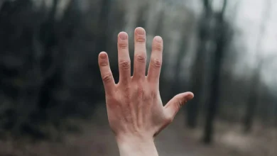 چرا اغلب پستانداران پنج انگشت دارند؟