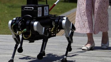 ربات سگ راهنما در چین زندگی نابینایان را آسان می‌کند