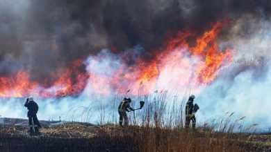 قرار گرفتن در معرض دود آتش سوزی با خطر زوال عقل مرتبط است