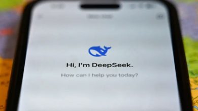 DeepSeek: هر آنچه که باید در مورد برنامه چت‌بات هوش مصنوعی بدانید