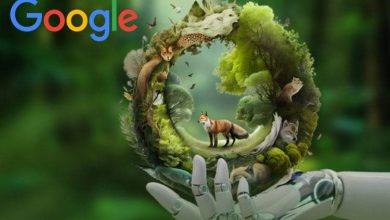 SpeciesNet؛ هوش مصنوعی گوگل برای حیات وحش