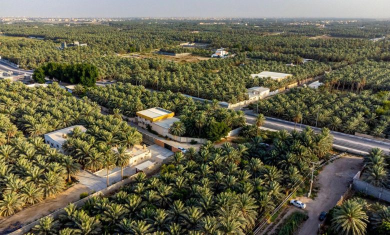 بیابان امروز، جنگل دیروز؛ عربستان احتمالاً مقصد مهاجرت انسانتباران اولیه از آفریقا بوده است