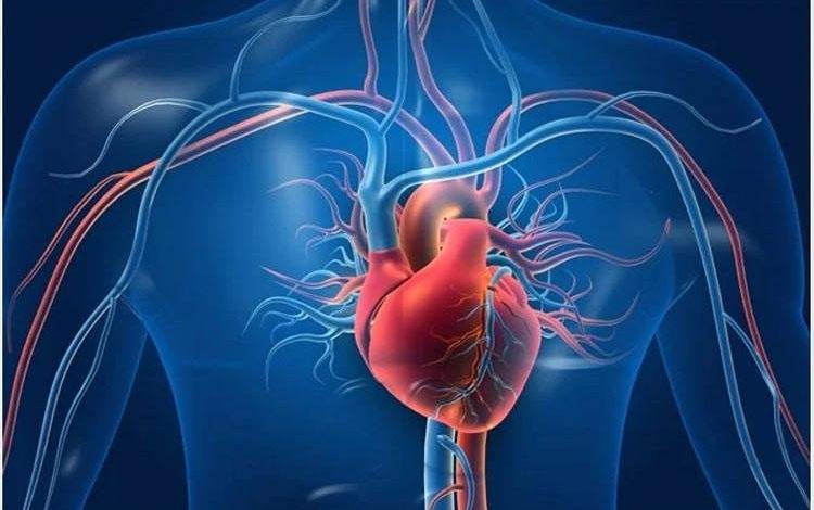 ضعف شنوایی خطر نارسایی قلبی را افزایش می‌دهد