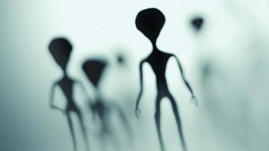 یک پیشرفت شگفت‌انگیز: وجود حیات فرازمینی تقریبا قطعی است