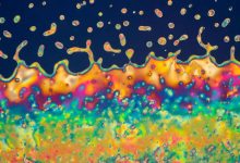 حل معمای ۱۲۵ ساله دینامیک سیالات: ریاضیدانان سه نظریه فیزیکی را یکپارچه کردند