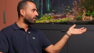 در گفت‌وگو با مهراد عبدالرزاق بررسی شد؛ دلیل اختلال‌های اسنپ‌فود چیست؟