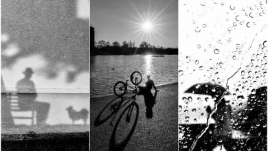 وقتی زندگی بدون رنگ معنای زنده‌تری می‌گیرد