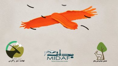 ۳ طرح برگزیده حمایت مالی «هما» مشخص شدند