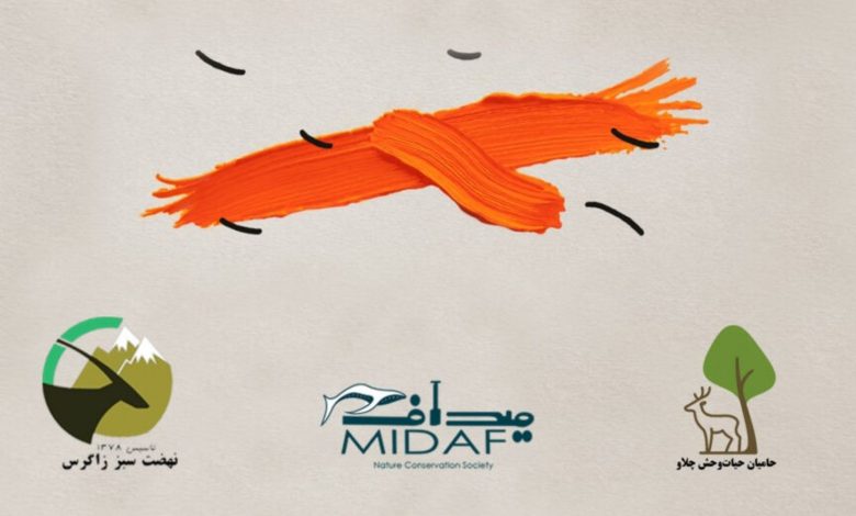 ۳ طرح برگزیده حمایت مالی «هما» مشخص شدند