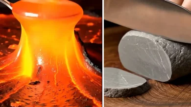 این ویدیوهای حیرت‌انگیز سروصدای زیادی به‌پا کرده‌اند