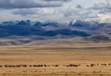 دیگر دیوار بزرگ آسیا؛ کشف بقایای سازه‌ای قرون وسطایی در قلب مغولستان