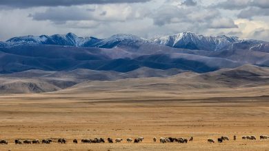 دیگر دیوار بزرگ آسیا؛ کشف بقایای سازه‌ای قرون وسطایی در قلب مغولستان