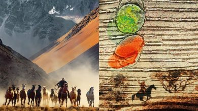 وقتی بقا به هنر تبدیل می‌شود؛ روایت تصویری از مرزهای ناشناخته