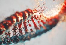 ویروس‌های باستانی در DNA ما چه می‌کنند؟!