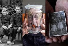 چشم‌ها دروغ نمی‌گویند؛ پرتره‌هایی که حقیقت را نشان می‌دهند