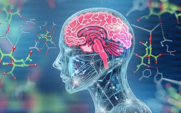اوزمپیک از سکته مغزی جلوگیری می‌کند؟